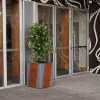 Paris Planter Box - Square
