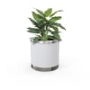 London Planter (Short) - Steel (Stainless Steel)