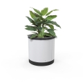 London Planter (Short) - Steel (Powder Coated Black)