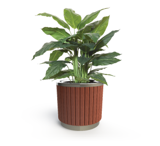 London Planter (Short) - Merbau Hardwood (Stainless Steel)