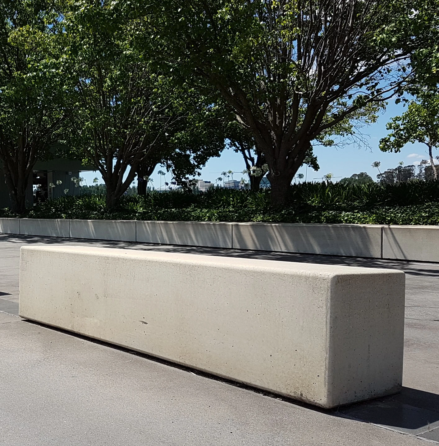 Concrete Log Looking Bench